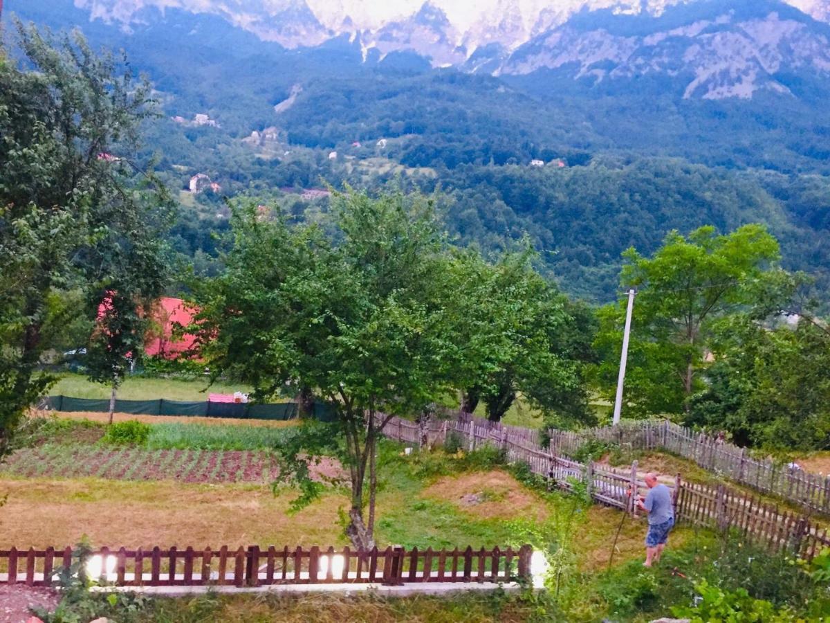 Guest House Rrashkadoli Theth Dış mekan fotoğraf
